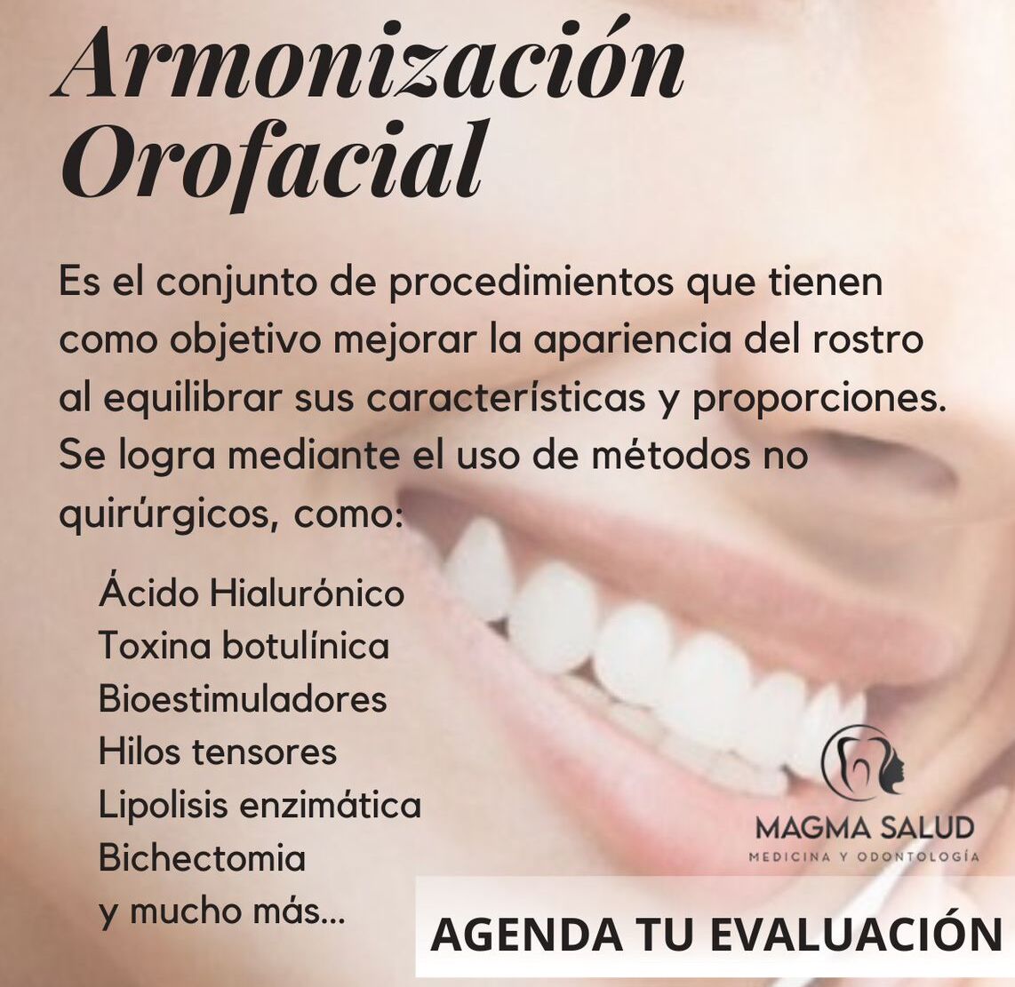 Descripción de la imagen
