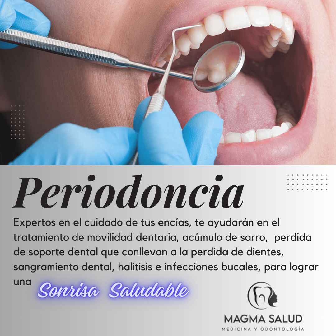 Descripción de la imagen