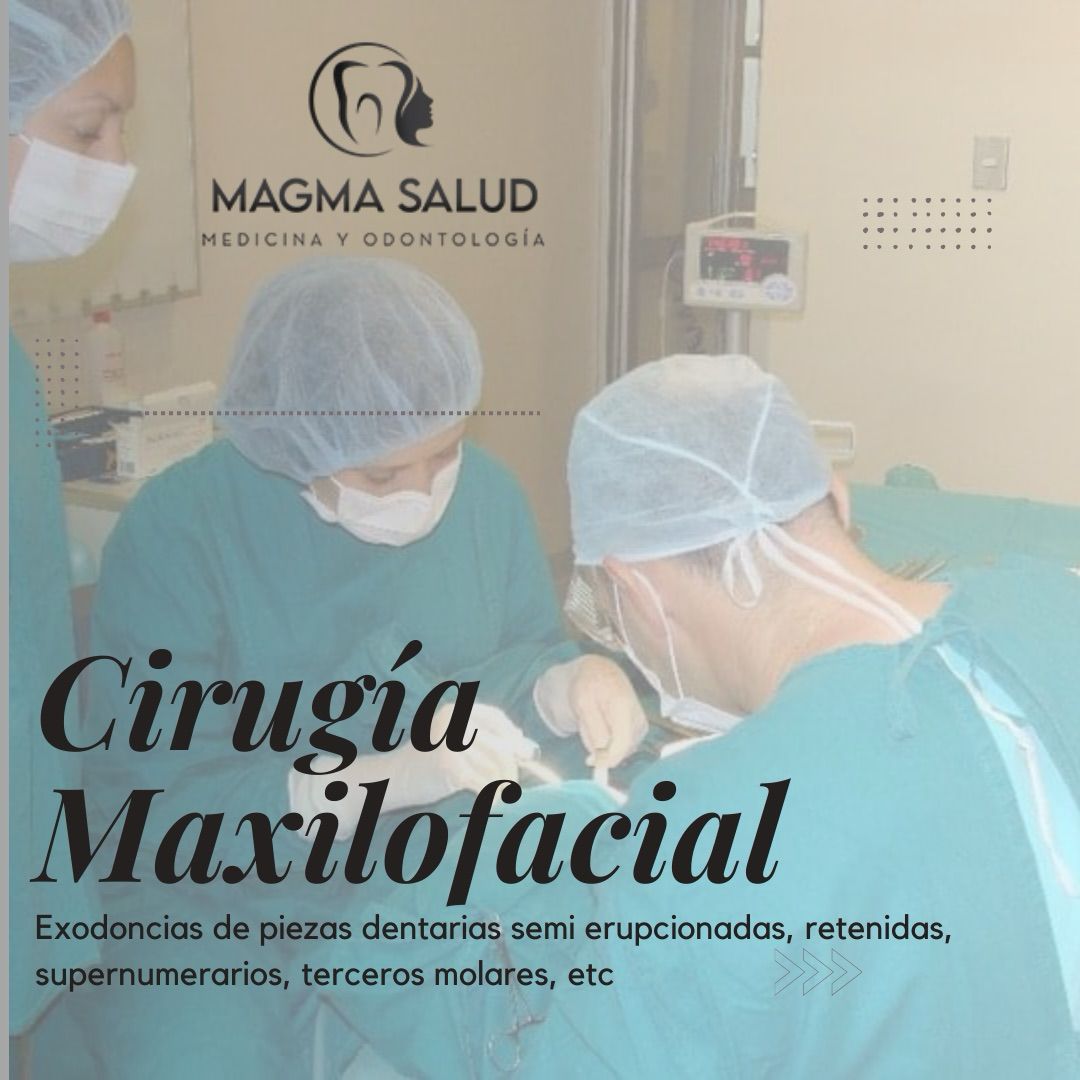 Descripción de la imagen